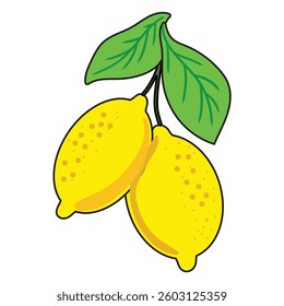 Lemon fruits on a branch with leaves color vector illustration in line art style. Hand drawn citrus fruits in sketch style. For packaging and design.