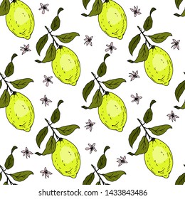 Lemon Fruits. Seamless pattern. Vector illustration.