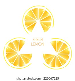 Lemon fruits vector illustration. Triangle