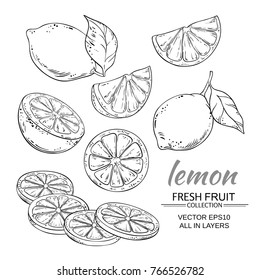 lemon fruits vector set on white background