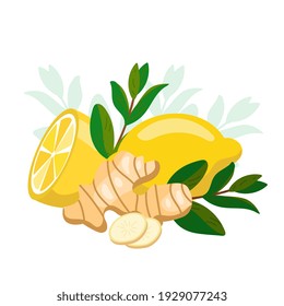 Lemon with ginger and mint. Natural medicine, antiflu ingredients. Ginger root, melissa green herb leaves and citrus lemon fruit slice. Vector illustration