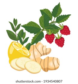 Lemon, ginger, mint, raspberry. Natural remedies and ingredients for home treatments for colds, flu, runny nose, fever and immune boosting. Natural folk medicine concept. Vector illustration isolated