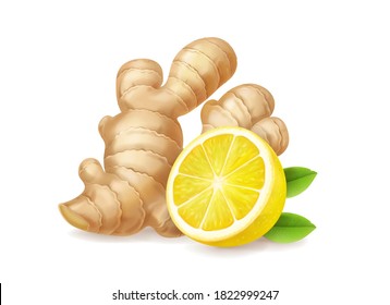 Lemon and ginger root isolated realistic illustration. Tea or lemonade ingredients.