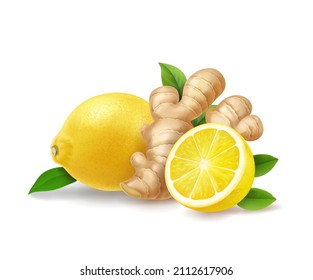 Lemon and ginger root isolated realistic illustration. Warming drink, gigner ale, tea anti - influenza, vector