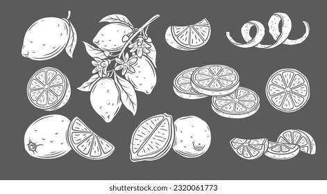 Los iconos de glifo limón establecen la ilustración vectorial. Sellos blancos de recolección de cítricos agrios y dulces aislados sobre limón negro, entero sobre rama y cortados en cuñas y rodajas de limonada y jugo