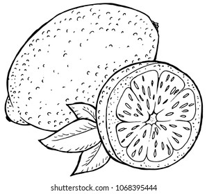 lemon from graphic