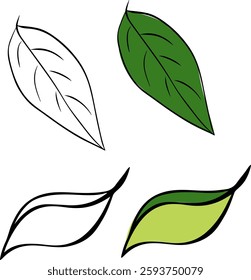 Conjunto de ilustración de tinta de línea gráfica de hoja verde limón. conjunto de Vector de Elementos aislados sobre fondo transparente
