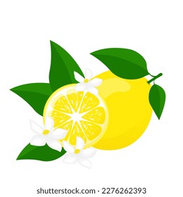 Lemon with green leaf, lemon sliced and flowers.For posters, logos, labels, banners, stickers, product packaging design, etc. Vector illustration.