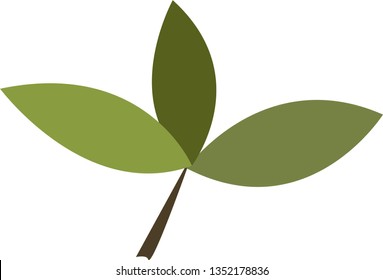 lemon green leaves