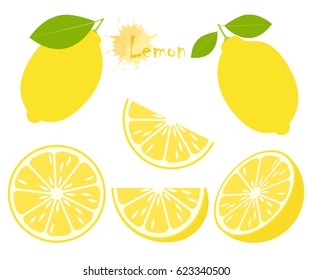 Lemon with green leaves, slice citrus isolated on white background. Tropical fruits. Raw and vegetarian food. Vector illustration.