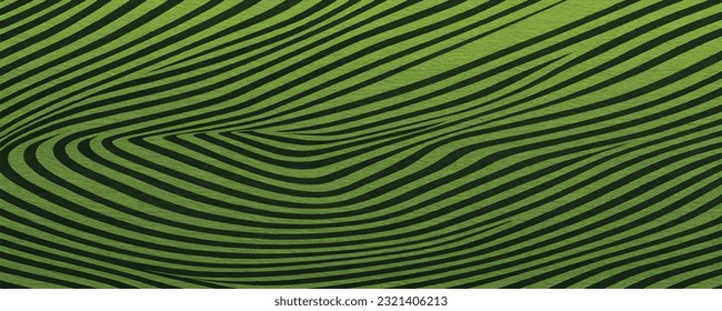  Lemon Green Paper Texture  vector backgrounds  

