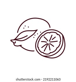 Lemon and half color line icon. Pictogram for web page, mobile app, promo.
