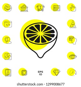 Lemon half, fruit cross-section - icon