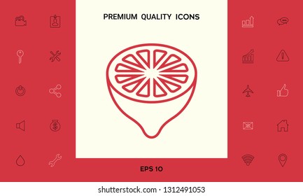 Lemon half, fruit cross-section - line icon