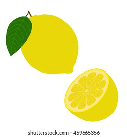 Lemon and a half. Isolated object on a white background. Vector illustration.