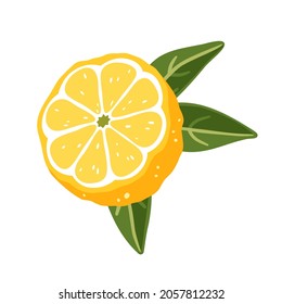 Lemon half with leaves on a white background. Vector illustration