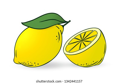 lemon and half of lemon - Vector hand drawn lemon. Decorative retro style farm product restaurant menu, market label