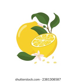 Lemon and lemon halves with a twig and a flower. A bright composition of vector illustration.