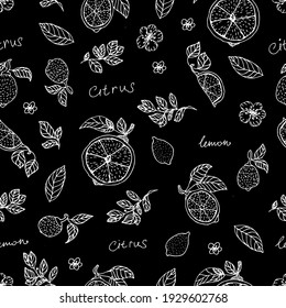 Lemon hand draw seamless pattern background wallpaper. Cute seamless pattern with lemons. Vector seamless pattern with lemon, leaves and flower. Citrus line seamless background.