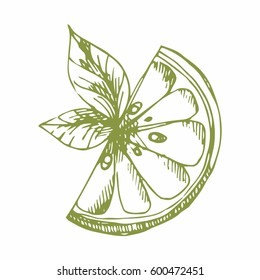 Lemon. Hand drawing. Vector illustration for design and decoration of printed products, surfaces, packaging and wrapping paper