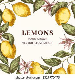 Lemon hand drawn circle copy space frame template. Realistic leaves, flowers round border with copyspace. Citrus fruits poster, web banner design. Engraving style illustration. Ink brush botanical 