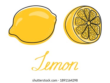 Lemon. Hand drawn citrus fruit. Whole and half a lemon. Vector illustration. 