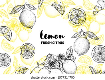 Lemon hand drawn illustration. Citrus frame. Sketch vector illustration. Can used for packaging design. Lemon citrus food.