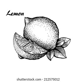 Lemon, hand drawn lemon with leaves