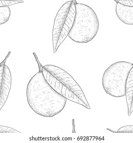 Lemon. Hand drawn outline sketch as seamless pattern. Vector illustration