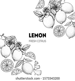 Lemon hand drawn package design. Vector illustration. Lemon sketch for menu design, brochure illustration. Black and white design. Citrus lemon frame illustration. Can used for packaging design.