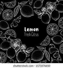 Lemon hand drawn package design. Vector illustration. Lemon sketch for menu design, brochure illustration. Black and white design. Citrus lemon frame illustration. Can used for packaging design.