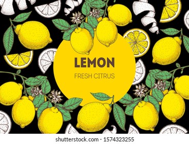 Lemon hand drawn package design. Lemon tree frame template. Vector illustration. Lemon sketch for menu design, brochure illustration. Colorful design. Citrus pattern illustration.