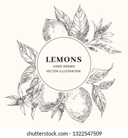 Lemon hand drawn sketch and circle frame  Cross hatching leaves  flowers round border and copy space  Citrus fruits poster  web banner design  Engraving style illustration  Ink brush botanical