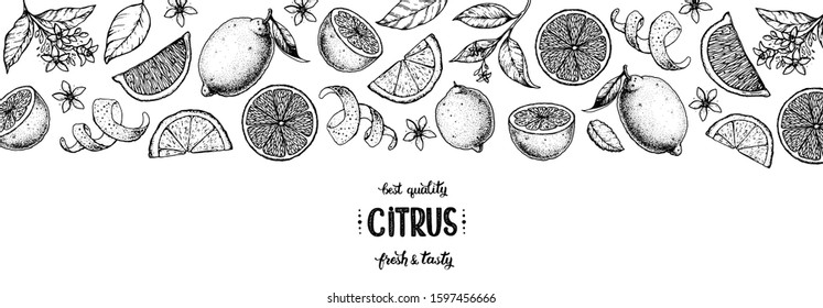 Lemon hand drawn vector illustration. Lemon sketch for design. Black and white style. Citrus lemon pattern illustration. Lemon packaging design.