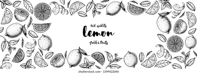 Lemon hand drawn vector illustration. Lemon sketch for design. Black and white style. Citrus lemon pattern illustration. Lemon packaging design.