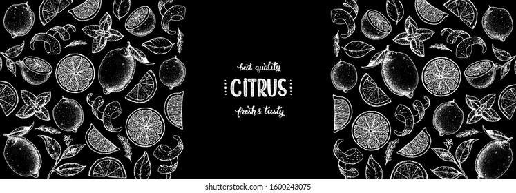 Lemon hand drawn vector illustration. Lemon sketch for design. Black and white style. Citrus lemon pattern illustration. Lemon packaging design.