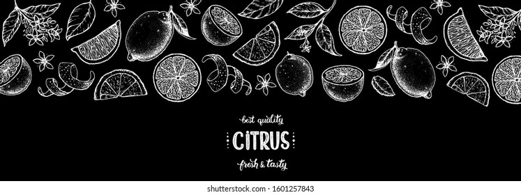 Lemon hand drawn vector illustration. Lemon sketch for design. Black and white style. Citrus lemon pattern illustration. Lemon packaging design.