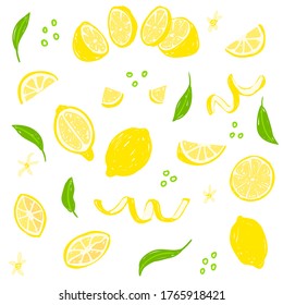 Lemon hand drawn vector illustration set. Whole, sliced, cut lemon, peel, leaves. Design template