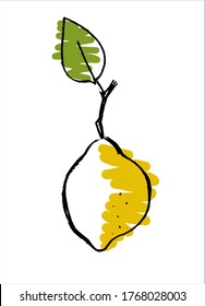 Lemon. Hand drawn vector illustration for teaching aid, price tag, fruit stores, restaurants and farm markets promotion. Isolated design element