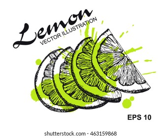 Limón. Ilustración vectorial dibujada a mano.