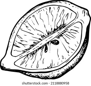 Lemon hand drawn vector illustrations set. Sketch citrus fruits. Botanical design elements.