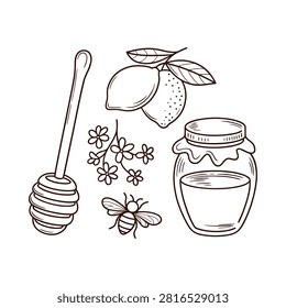 Lemon Honey Dipper Bee And Jar Illustration With Line Art Style
