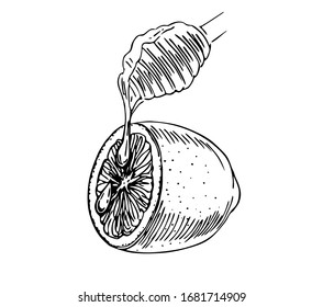 Lemon with honey. Immunity therapy in line art style.