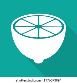   lemon icon. fresh citrus fruits icon  with long shadow vector