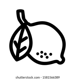lemon icon isolated sign symbol vector illustration - high quality black style vector icons
