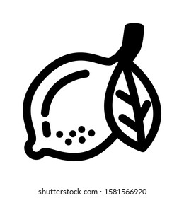 lemon icon isolated sign symbol vector illustration - high quality black style vector icons
