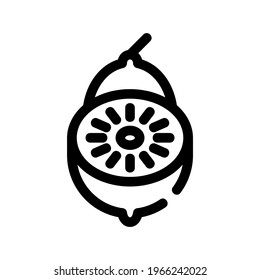 lemon icon or logo isolated sign symbol vector illustration - high quality black style vector icons
