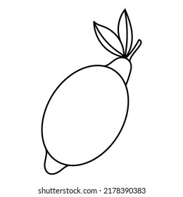 Lemon icon in outline style. Vector illustration with Lemon isolated on white background. Outline fruit object for web