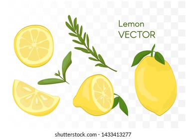 Lemon icon set. Citrus fruit vector illustration