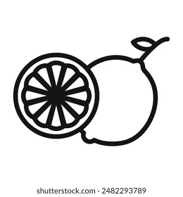 Ilustraciones de cítricos para productos frescos y uso culinario